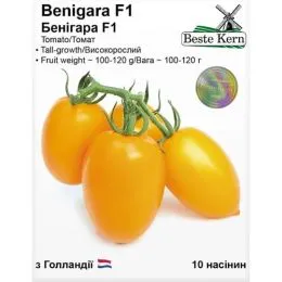 Помідор Бенигара (KS 1430) F1, ТМ Beste Kern фото