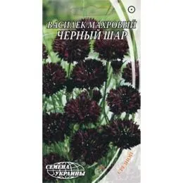 Волошка махрова Чорна куля фото