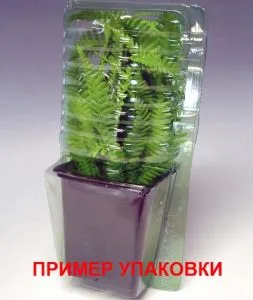 Астільба Vision фото