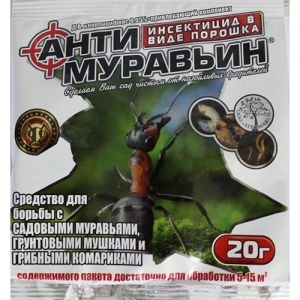 Антимурав'їн фото