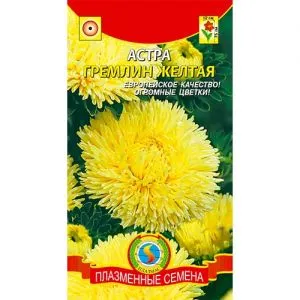 Айстра Гремлін Жовта фото