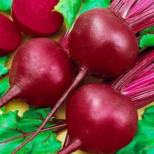Буряк Червона Куля фото