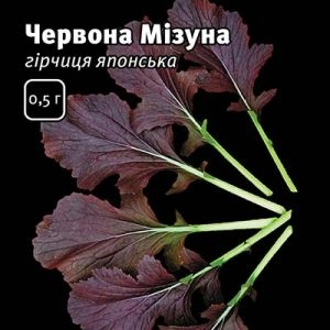 Гірчиця японська Червона мізуна фото