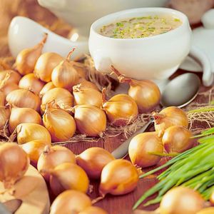 Цибуля Golden Gourmet шалот (Озима) фото