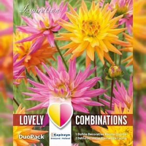 Комбо жоржина декоративна Karma Pink & Orange (Брендові цибулини KAPITEYN®) фото