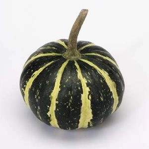 Гарбуз Flat Striped фото