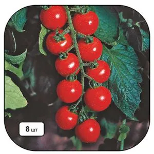 Помідор Гармоні F1  фото