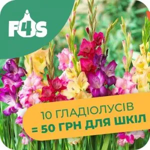 Благодійний внесок 