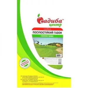Газон Посухостійкий фото