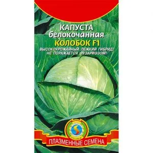 Капуста Білокачанна Колобок F1 фото