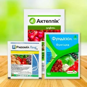 Комплект Захист Городу фото