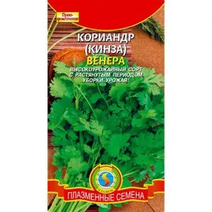 Коріандр Венера фото