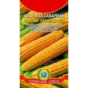 Кукурудза Рання лакомка 121 фото