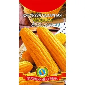 Кукурудза Медова фото