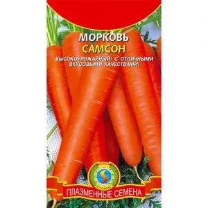 Морква Самсон фото