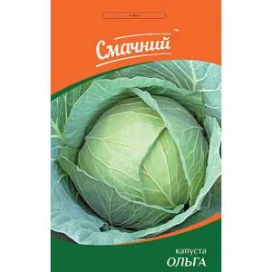 Капуста Білокачанна Ольга фото