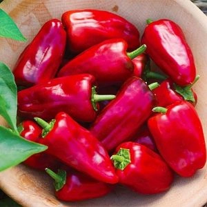 Перець Букет Сходу фото