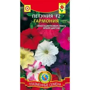 Петунія Гармонія F2 фото