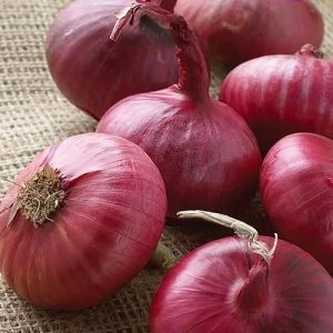 Цибуля Piroska Red фото