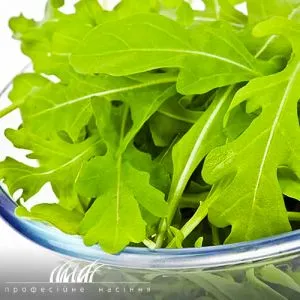Рукола Пікнік фото