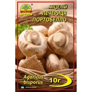 Печериця Портобелло фото
