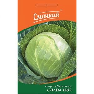 Капуста Білокачанна Слава 1305 фото