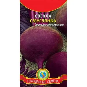 Буряк Смуглянка фото