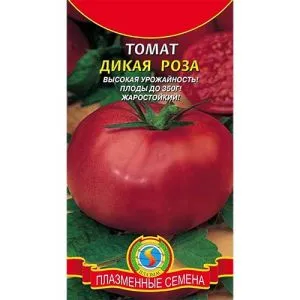 Помідор Дика троянда фото