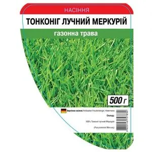 Газон Тонконіг лучний Меркурій фото