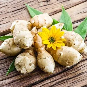 Топінамбур фото