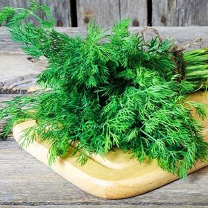Кріп Грибовський фото