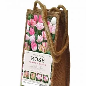 Комплект Тюльпанів Wine Rose (Брендові цибулини KAPITEYN®) фото