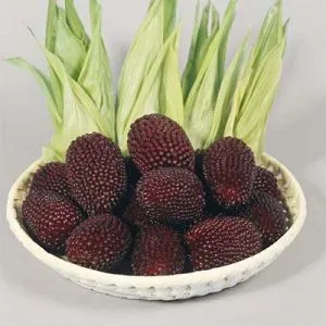 Кукурудза Strawberry Corn фото