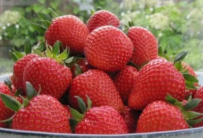 Клубника Sweetheart (Средний) фото