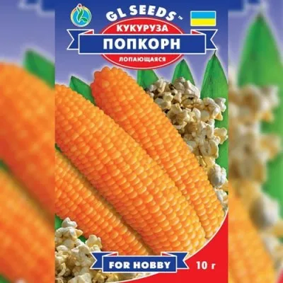 Кукуруза Поп Корн фото