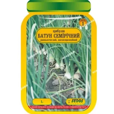 Лук Батун Семилетний (инкрустированные семена) фото
