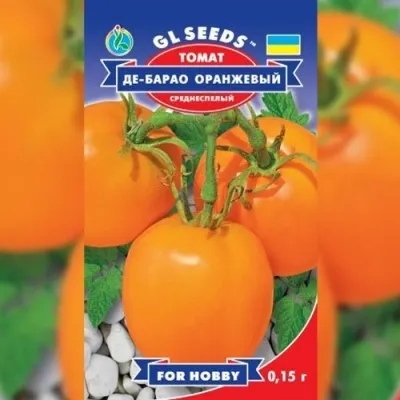 Томат Де-барао оранжевый фото