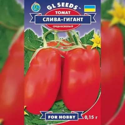 Томат Слива-гигант фото