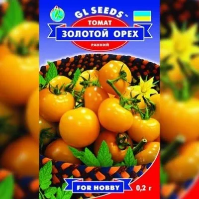Томат Золотой орех ТМ GL Seeds фото