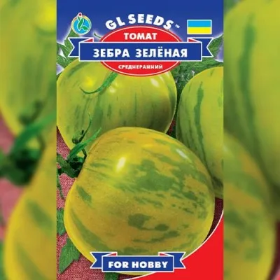 Томат Зебра зеленая фото