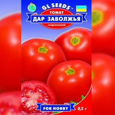Томат Дар Заволжья фото
