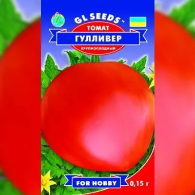 Томат Гулливер фото