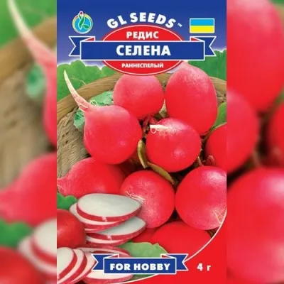 Редис Селена фото