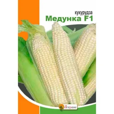 Кукуруза Сахарная Медунка гигант-пакет фото