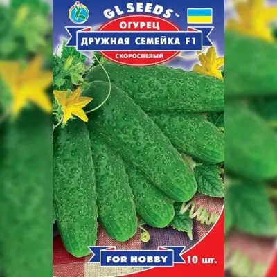 Огурец Дружная семейка F1 фото