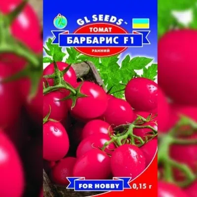 Томат Барбарис F1 фото
