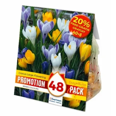 Промо-пак Крокус Large Flowering Mixed 48 шт (Брендовые луковицы KAPITEYN®) фото