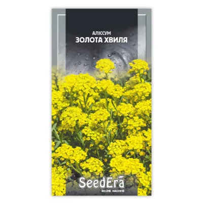 Алиссум скальный Золотая волна фото