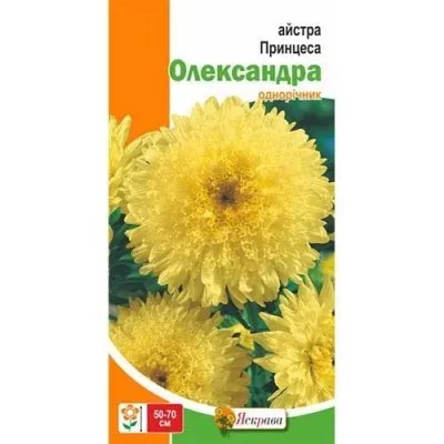 Астра Принцесса Александра фото