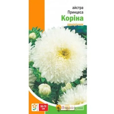 Астра Принцесса Корина  фото
